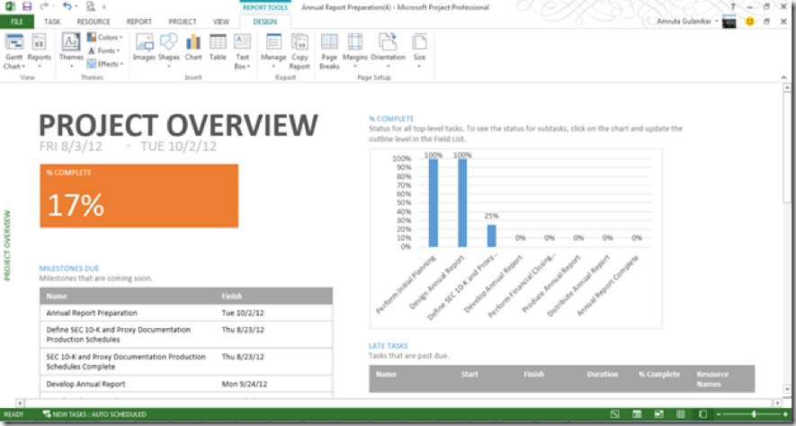 Project Visualization in Microsoft Project